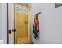 8812 135 Av Nw, Edmonton, AB T5E1N3 Photo 21