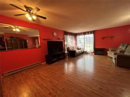 170 7th Avenue Sw, Minnedosa, MB R0J1E0 Photo 6