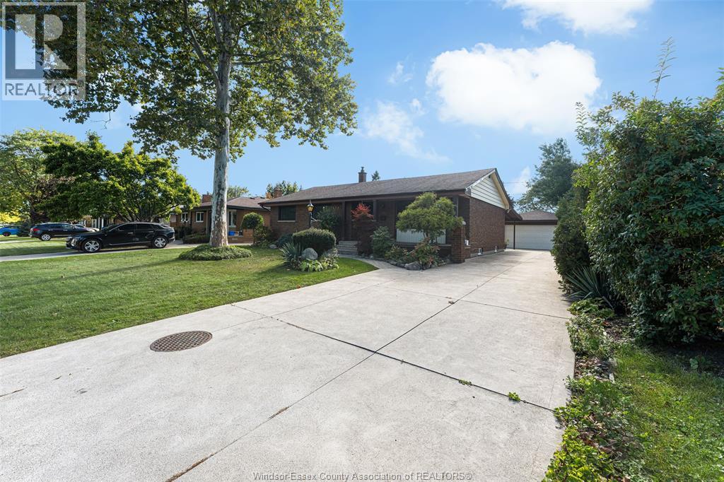 2545 ST. PATRICKS'S AVENUE - 2