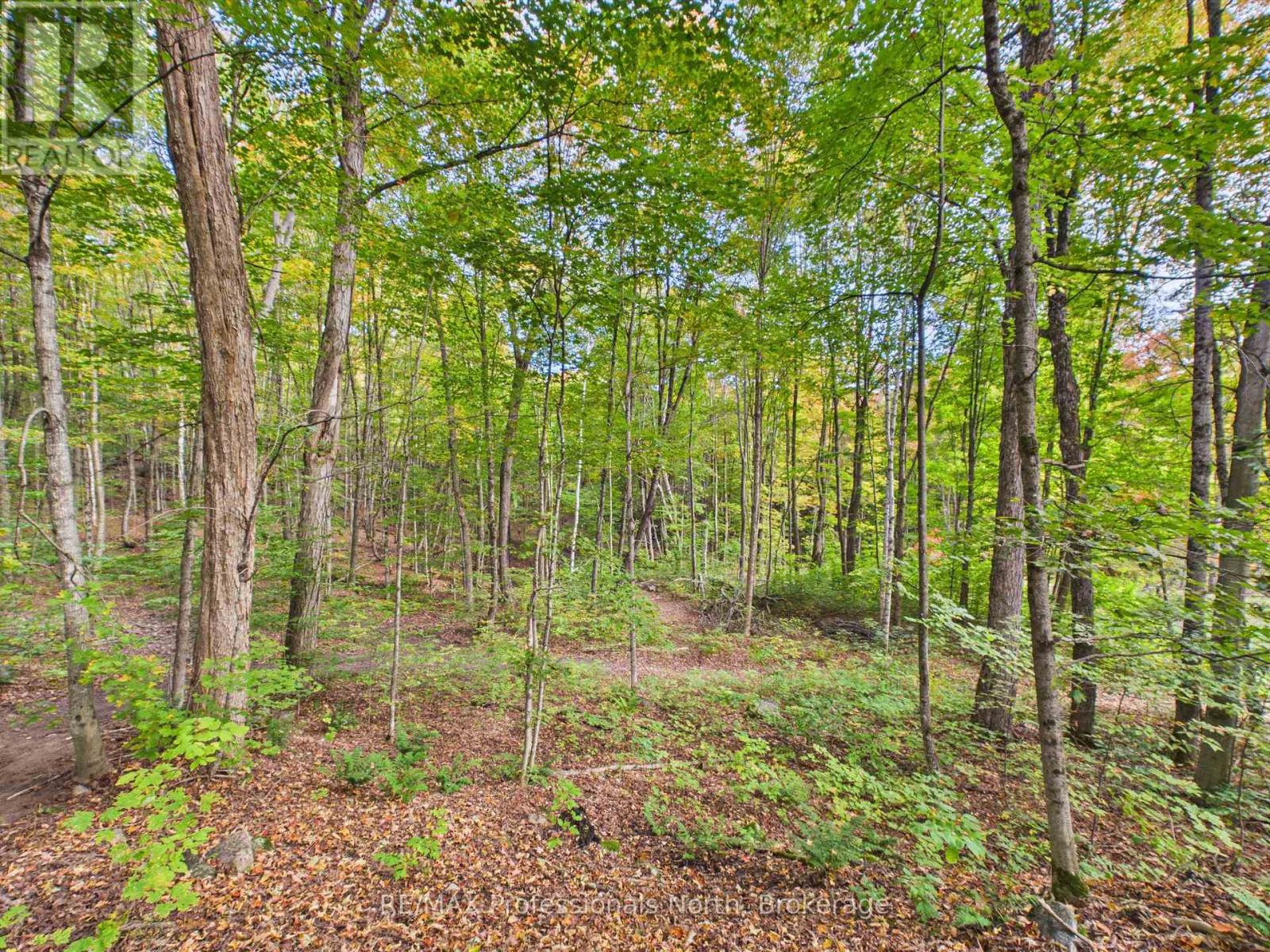 4226 ASPDIN ROAD - 38