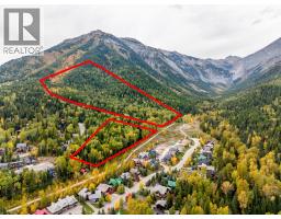 Fairy Creek Road, Fernie, BC V0B1M5 Photo 10