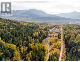 Fairy Creek Road, Fernie, BC V0B1M5 Photo 8