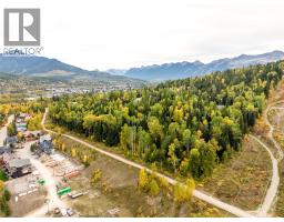 Fairy Creek Road, Fernie, BC V0B1M5 Photo 9