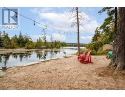 20 Fire Route 93, Trent Lakes, ON K0M1A0 Photo 42