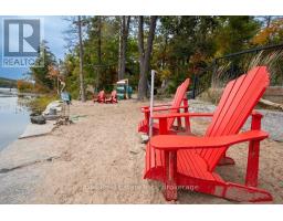 20 Fire Route 93, Trent Lakes, ON K0M1A0 Photo 44