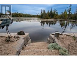 20 Fire Route 93, Trent Lakes, ON K0M1A0 Photo 48