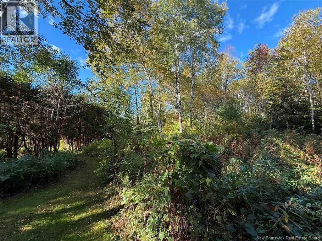 84 Hubert Street - 38