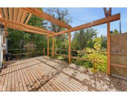 14019 106 Av Nw, Edmonton, AB T5N1B3 Photo 34