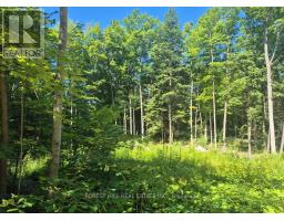 68 Beauremi Road, Tiny, ON L0L2J0 Photo 18