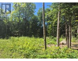 68 Beauremi Road, Tiny, ON L0L2J0 Photo 19