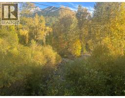 200 Canyon Trail, Fernie, BC V0B1M5 Photo 18