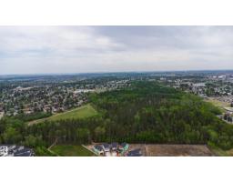 19503 30 Ave Nw Nw, Edmonton, AB T6M3M1 Photo 43