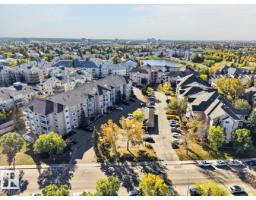 #339 17447 98a Av Nw, Edmonton, AB T5T6M4 Photo 49
