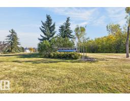 #339 17447 98a Av Nw, Edmonton, AB T5T6M4 Photo 60