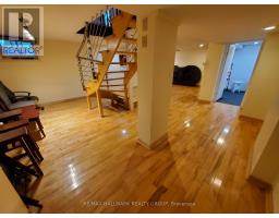239 Dale Avenue, Ottawa, ON K1G0H6 Photo 15