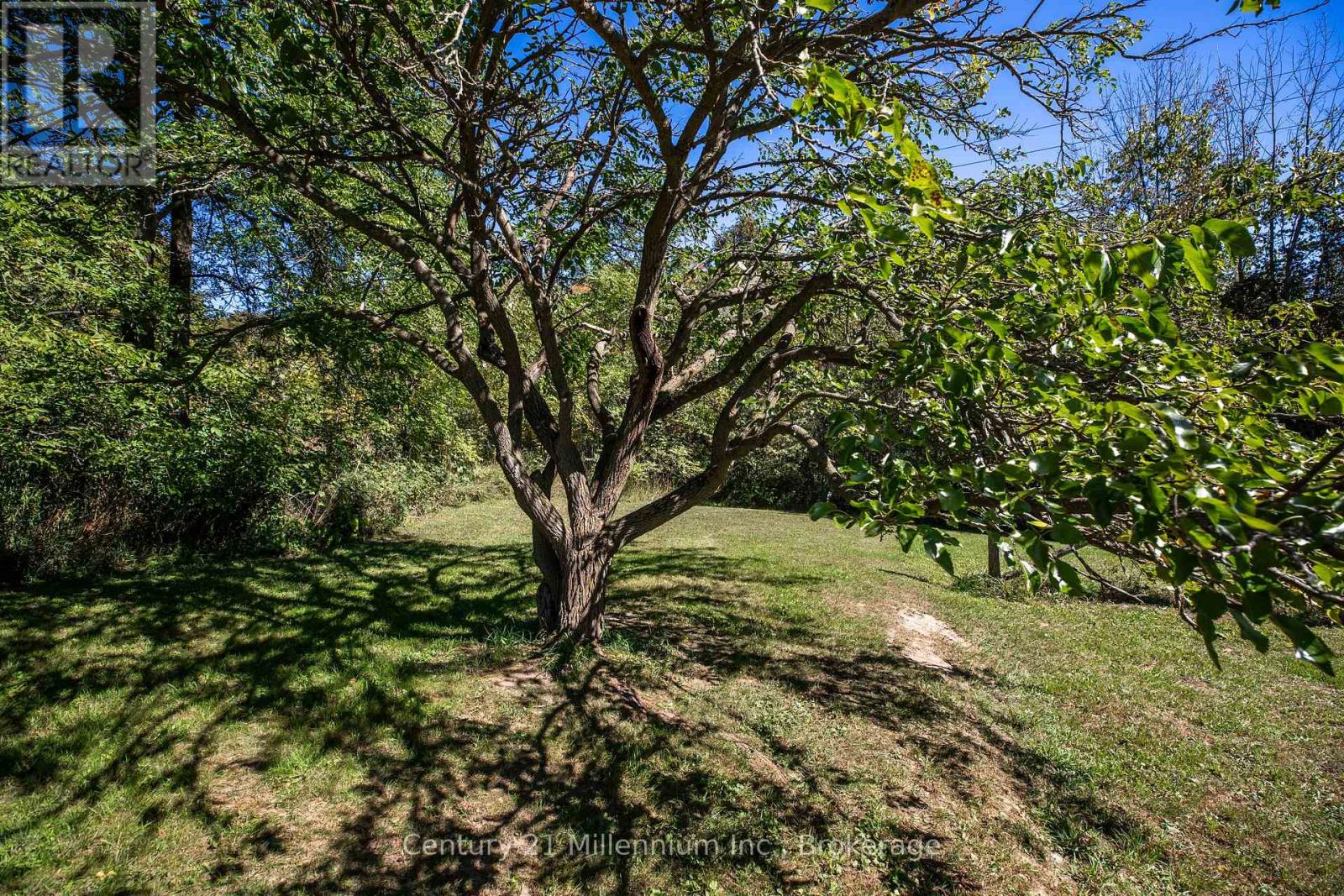 395 Elsinore Road North — photo 23