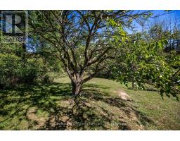 395 Elsinore Road N, South Bruce Peninsula, ON N0H1A0 Photo 23