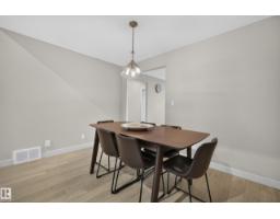 Recreation room - 9047 94 St Nw, Edmonton, AB T6C3V3 Photo 9