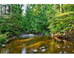 20805 Brock Road, Brock, ON L0E1E0 Photo 34