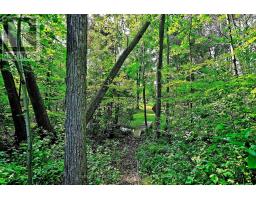20805 Brock Road, Brock, ON L0E1E0 Photo 35