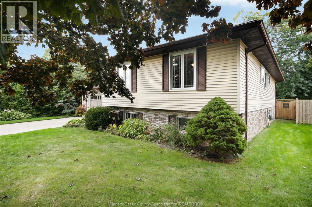 42 William AVENUE - 2