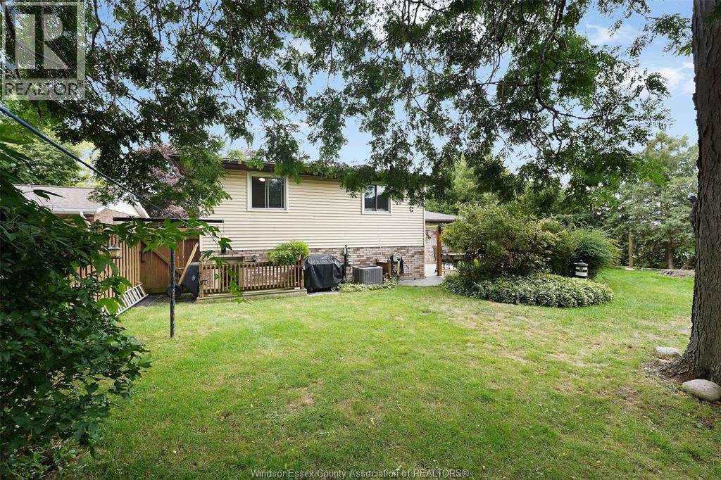 42 William AVENUE - 35