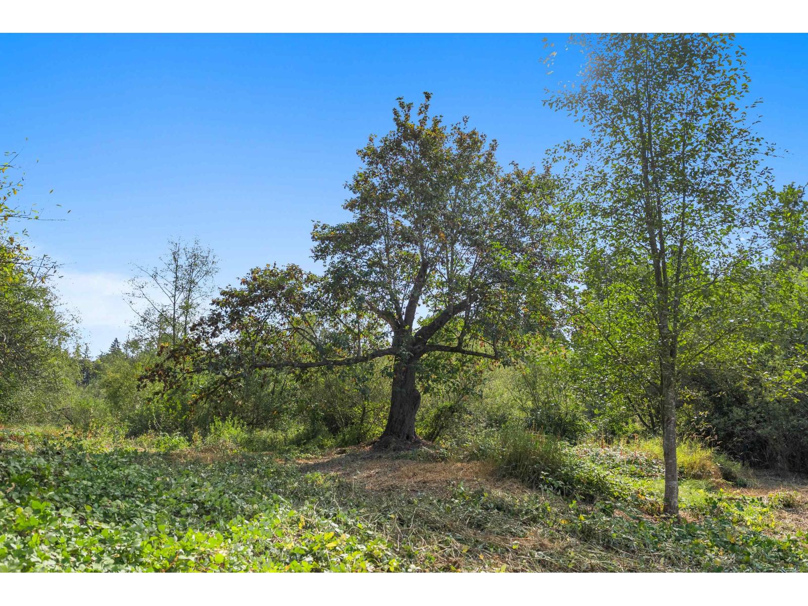 21180 48 AVENUE, Langley