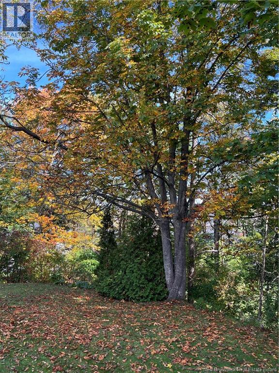 812 Forest Hill Road - 32