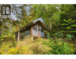 8494 Red Mountain Road, Silverton, BC V0G1S0 Photo 56