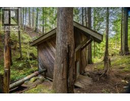 8494 Red Mountain Road, Silverton, BC V0G1S0 Photo 80