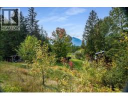 8494 Red Mountain Road, Silverton, BC V0G1S0 Photo 76
