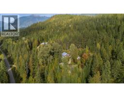 8494 Red Mountain Road, Silverton, BC V0G1S0 Photo 87