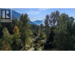8494 Red Mountain Road, Silverton, BC V0G1S0 Photo 84