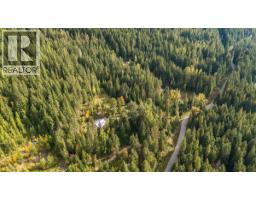 8494 Red Mountain Road, Silverton, BC V0G1S0 Photo 88