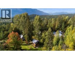 8494 Red Mountain Road, Silverton, BC V0G1S0 Photo 83