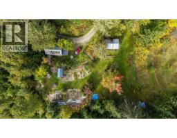 8494 Red Mountain Road, Silverton, BC V0G1S0 Photo 85