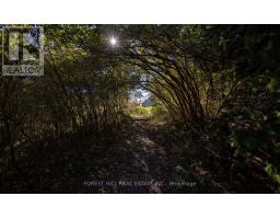 794575 Mono Centre Road, Mono, ON L9W5Y1 Photo 38