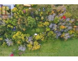 12615 County 28 Road, South Dundas, ON K0C1X0 Photo 17