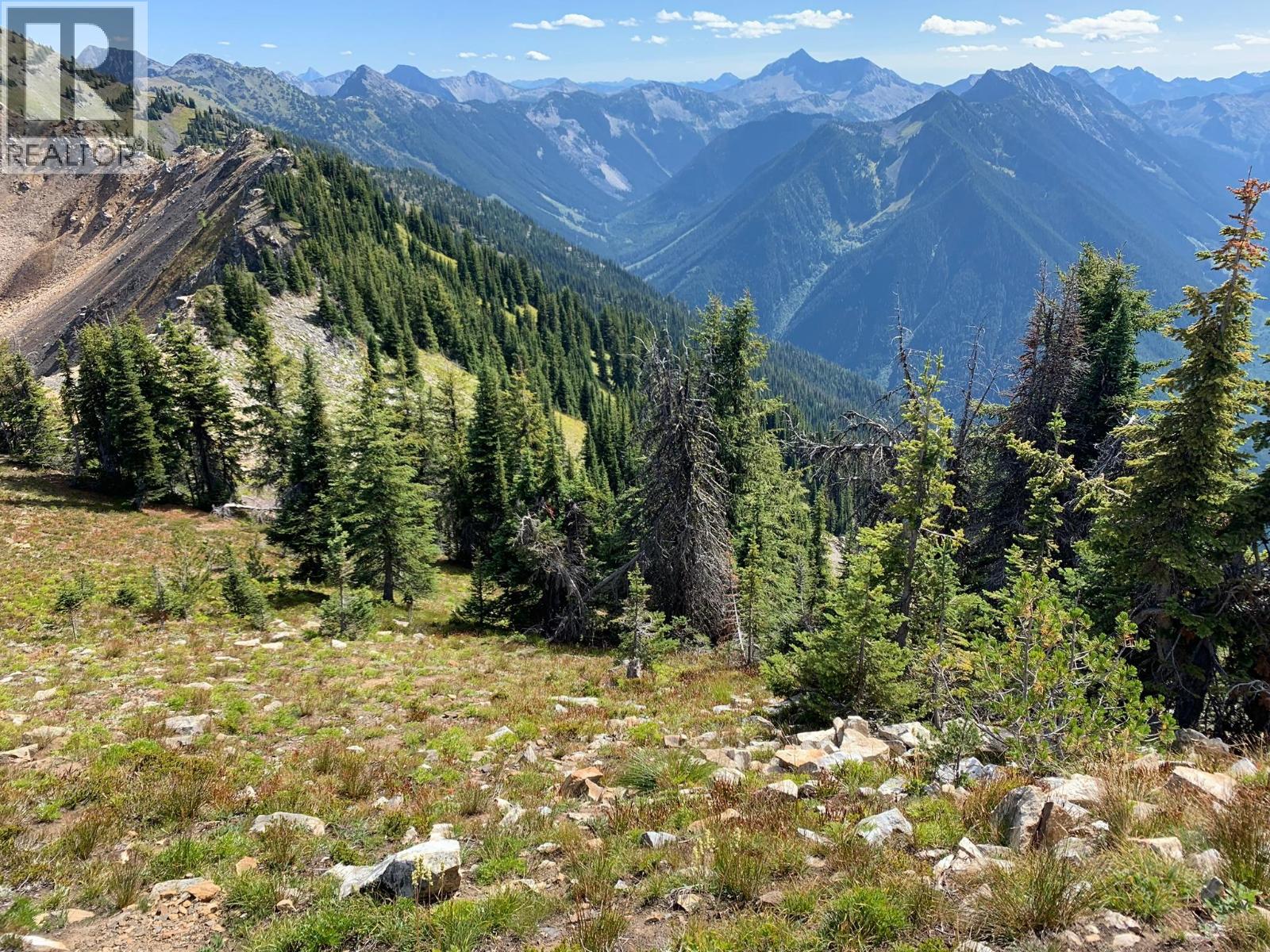 593, 594, 595, 1848, 1850 Mt. Payne FSR - 1