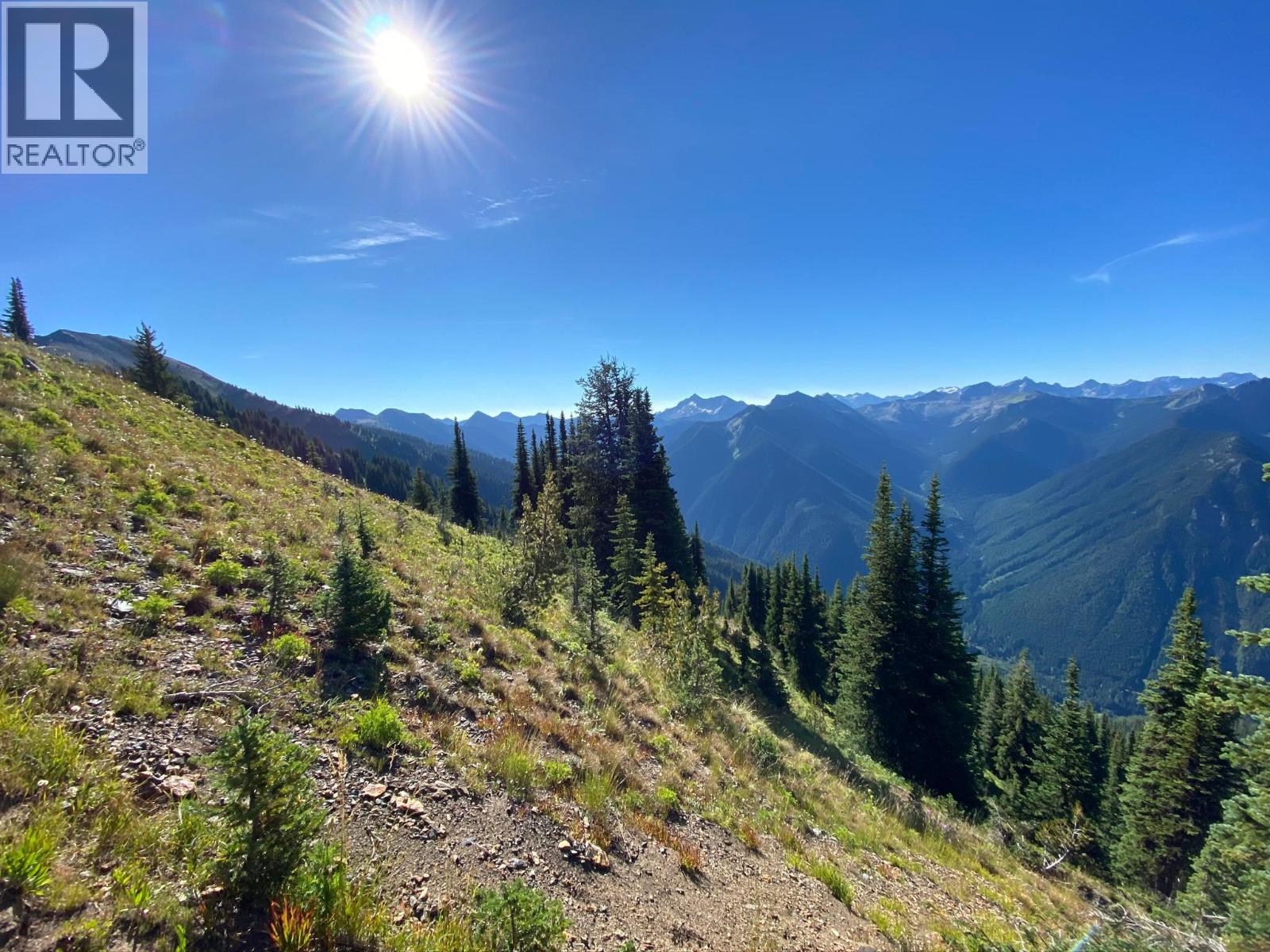 593, 594, 595, 1848, 1850 Mt. Payne FSR - 2