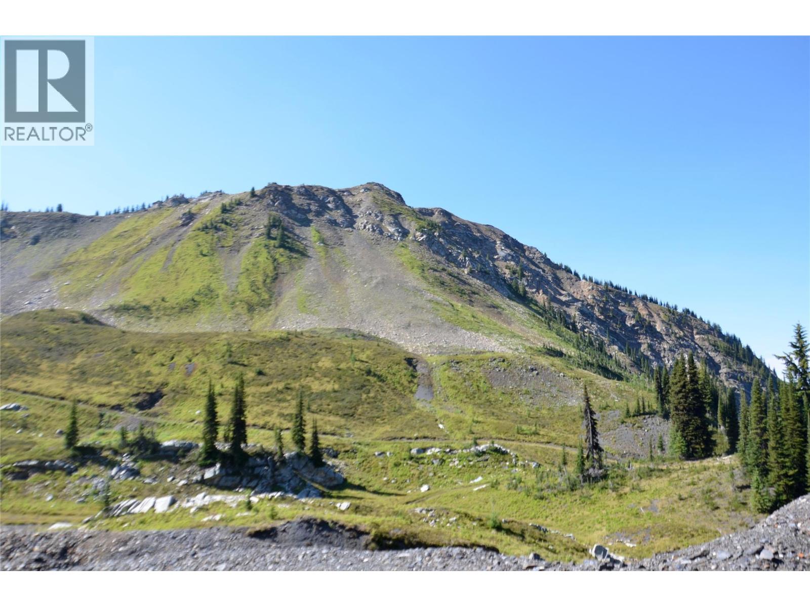  Mt. Payne FSR Other, Sandon - Image 1