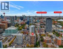 Laundry room - 920, 540 14 Avenue Sw, Calgary, AB T2R0M6 Photo 6