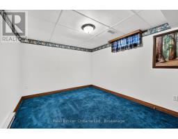 11 Elisabeth Street, East Zorra Tavistock, ON N0J1M0 Photo 49