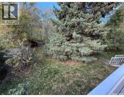 830 20th Street W, Prince Albert, SK S6V4H6 Photo 21