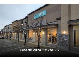 2771 163 Street, Surrey, BC V3Z0E4 Photo 33