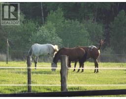 76 Chiblow Lake Rd, Iron Brifge, ON P0R1H0 Photo 46