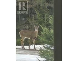 76 Chiblow Lake Rd, Iron Brifge, ON P0R1H0 Photo 49