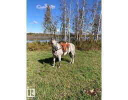 41102 Township Road 620, Rural Bonnyville M D , AB T0A0T0 Photo 29