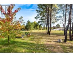 368 Dombroskie Road, Whitewater Region, ON K0J1Y0 Photo 36