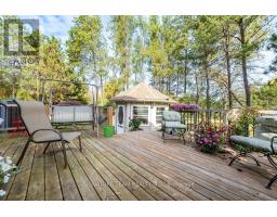 368 Dombroskie Road, Whitewater Region, ON K0J1Y0 Photo 40